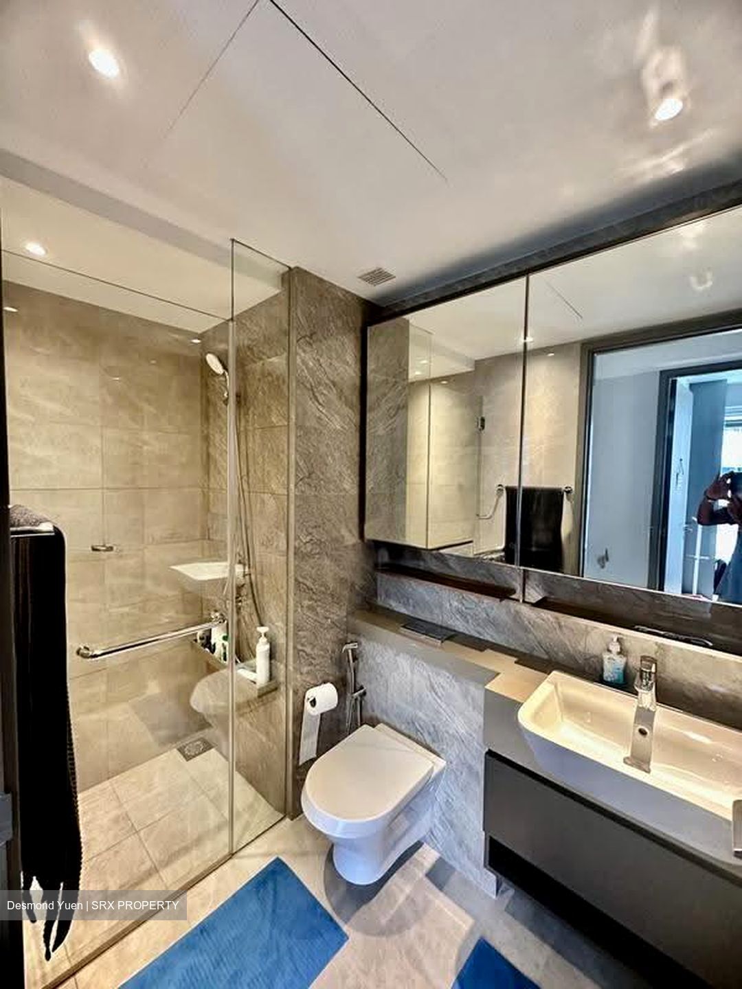 The Florence Residences (D19), Apartment #618937791